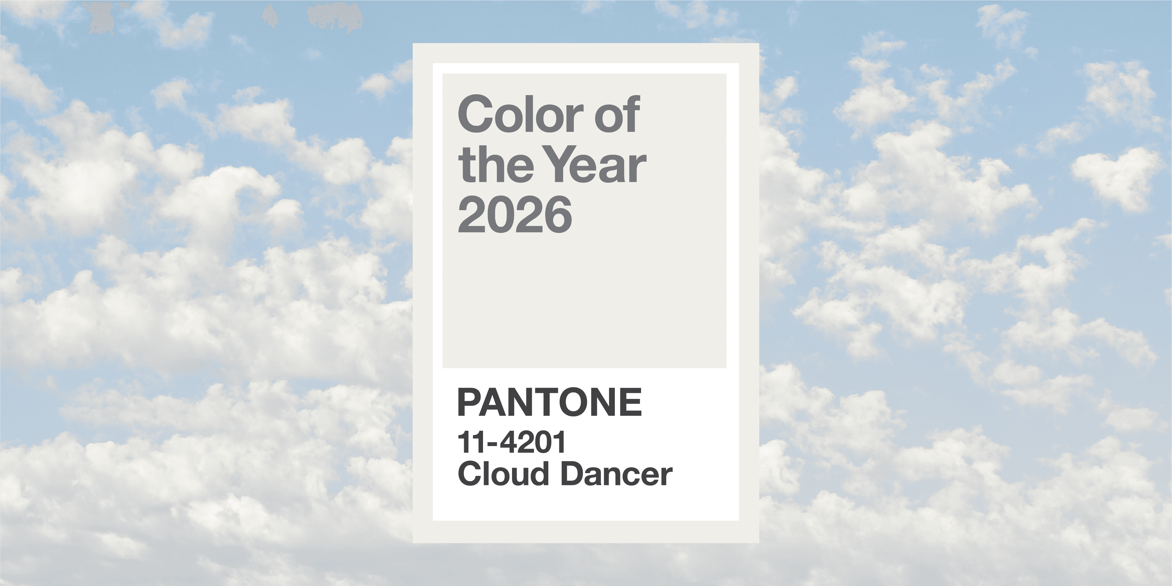 Cloud Dancer_2x1_4.png