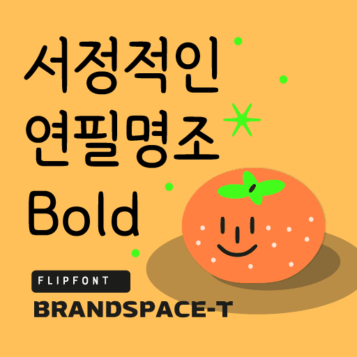 BST서정적인연필명조두꺼운 플립폰트 앱 아이콘
