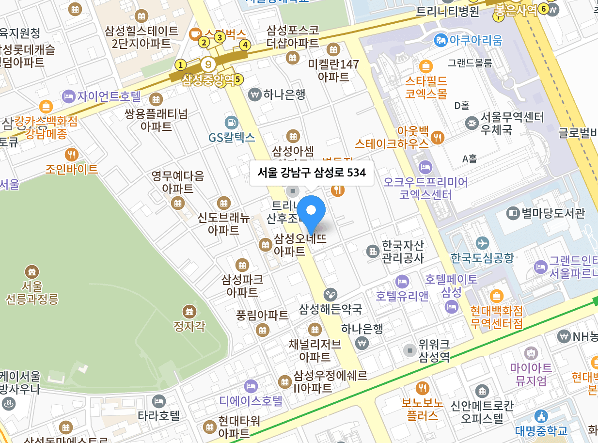 강남구 삼성로 534 B2층 가빈아트홀 위치 지도